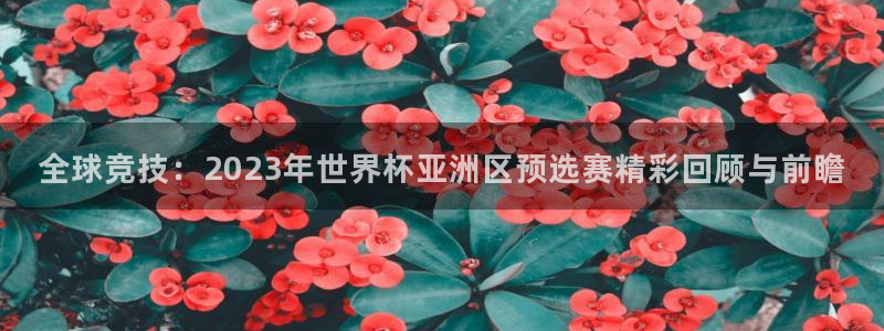 全球竞技：2023年世界杯亚洲区预选赛精彩回顾与前瞻
