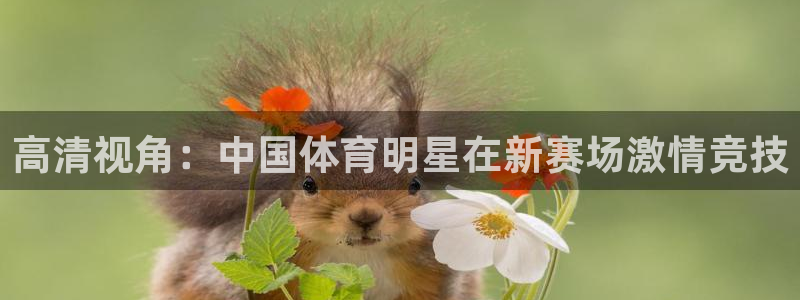 高清视角：中国体育明星在新赛场激情竞技