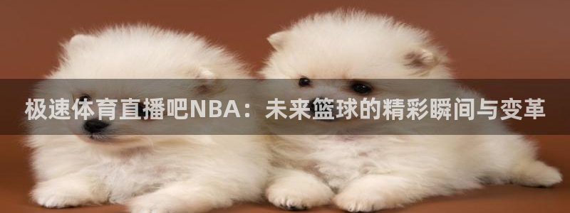极速体育直播吧NBA：未来篮球的精彩瞬间与变革