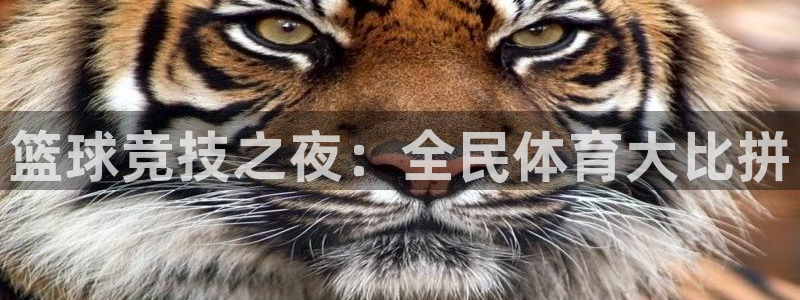 篮球竞技之夜：全民体育大比拼