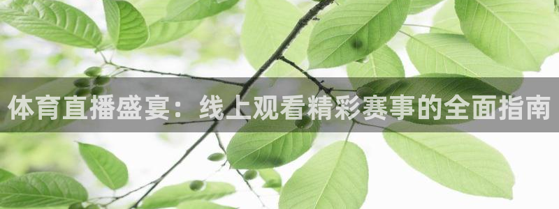 体育直播盛宴：线上观看精彩赛事的全面指南