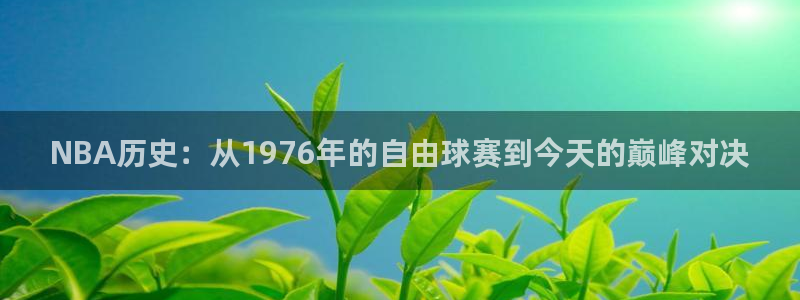 NBA历史：从1976年的自由球赛到今天的巅峰对决