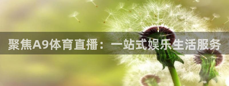 聚焦A9体育直播：一站式娱乐生活服务