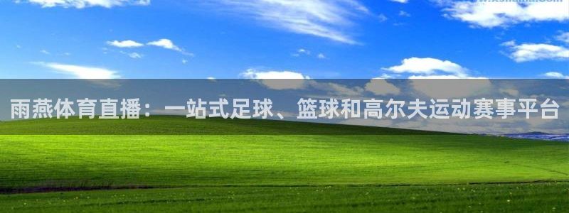 雨燕体育直播：一站式足球、篮球和高尔夫运动赛事平台