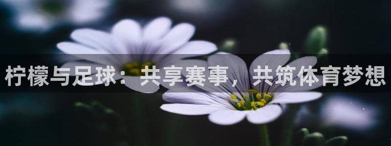 柠檬与足球：共享赛事，共筑体育梦想