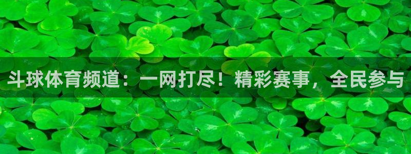 斗球体育频道：一网打尽！精彩赛事，全民参与