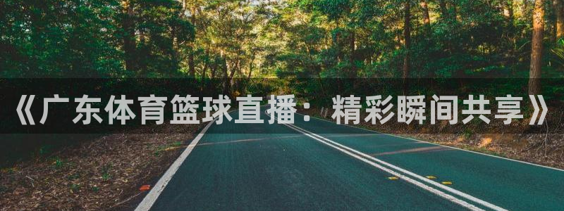 世界杯小组赛打几轮